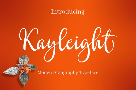 Kayleight: A Hand-Drawn Font for Digital Brands