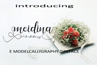 Meidina Font: Elevate Your Brand Identity