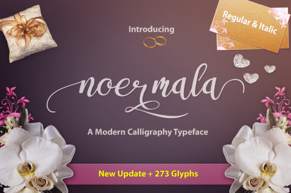 Noermala Typeface Review for Brand Designers