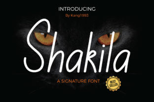 Shakila Typeface: A Web Designer’s Review